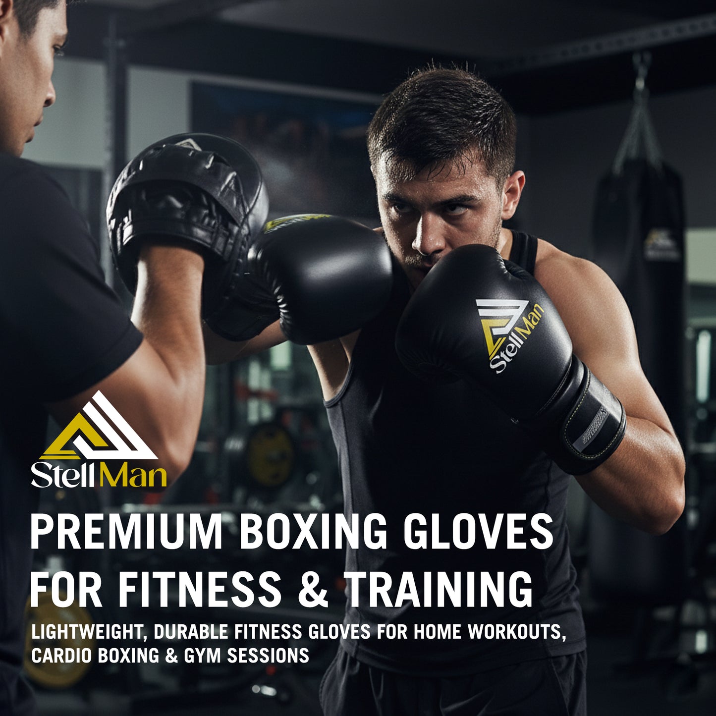 StellMan Forge Pro Boxing Gloves – Black Edition